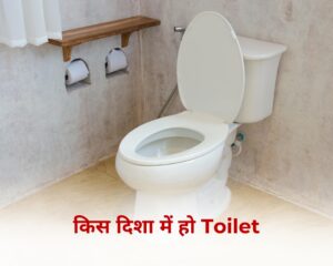 किस दिशा में हो Toilet
